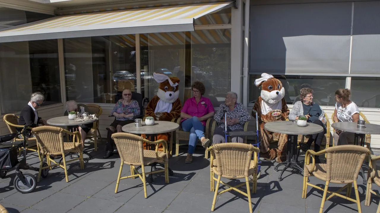 2019 04 19 paashazen nov 1