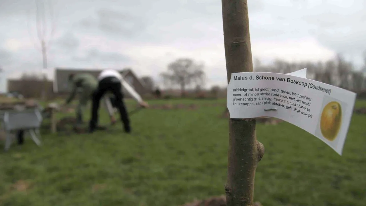 2019 05 02 landschapsbeheer boom nijkerkihgroen3