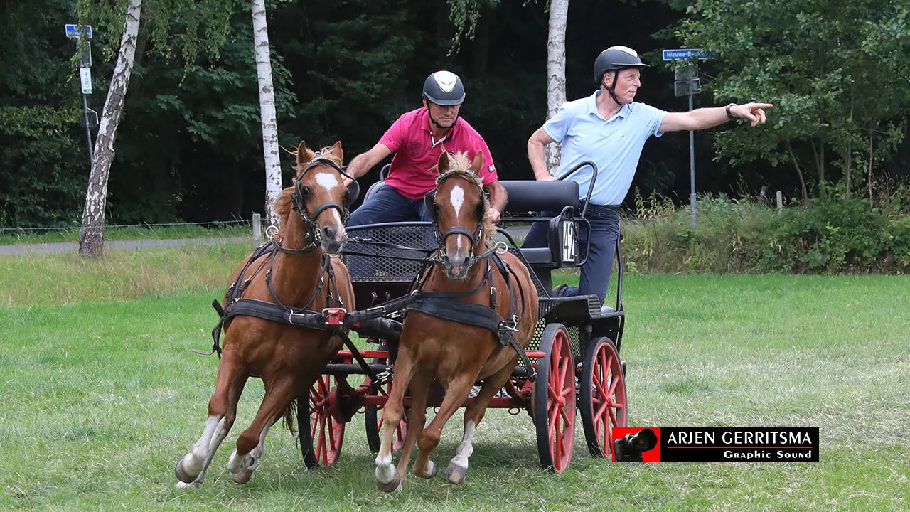 2019 07 06 dap aangespannen paard 13