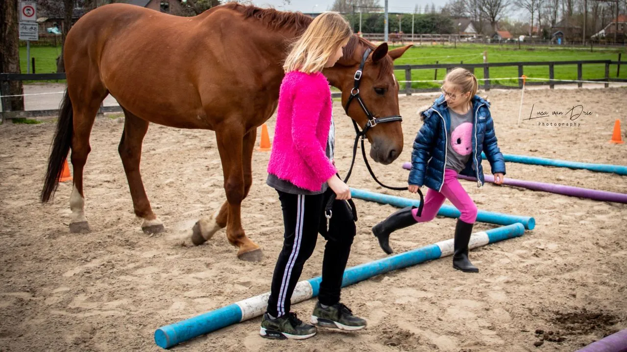 2019 08 03 paardencoach