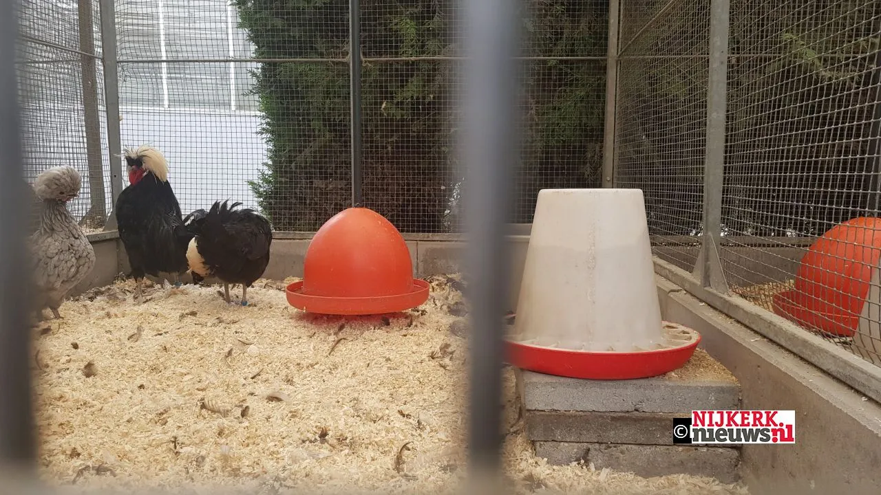 2019 10 07 dutch food week aeres rozelaar 005