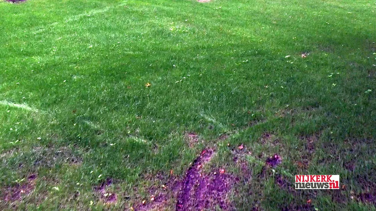 2019 10 14 gras