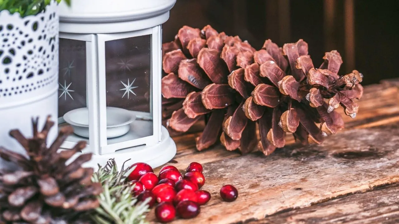 2019 11 26 winterfair