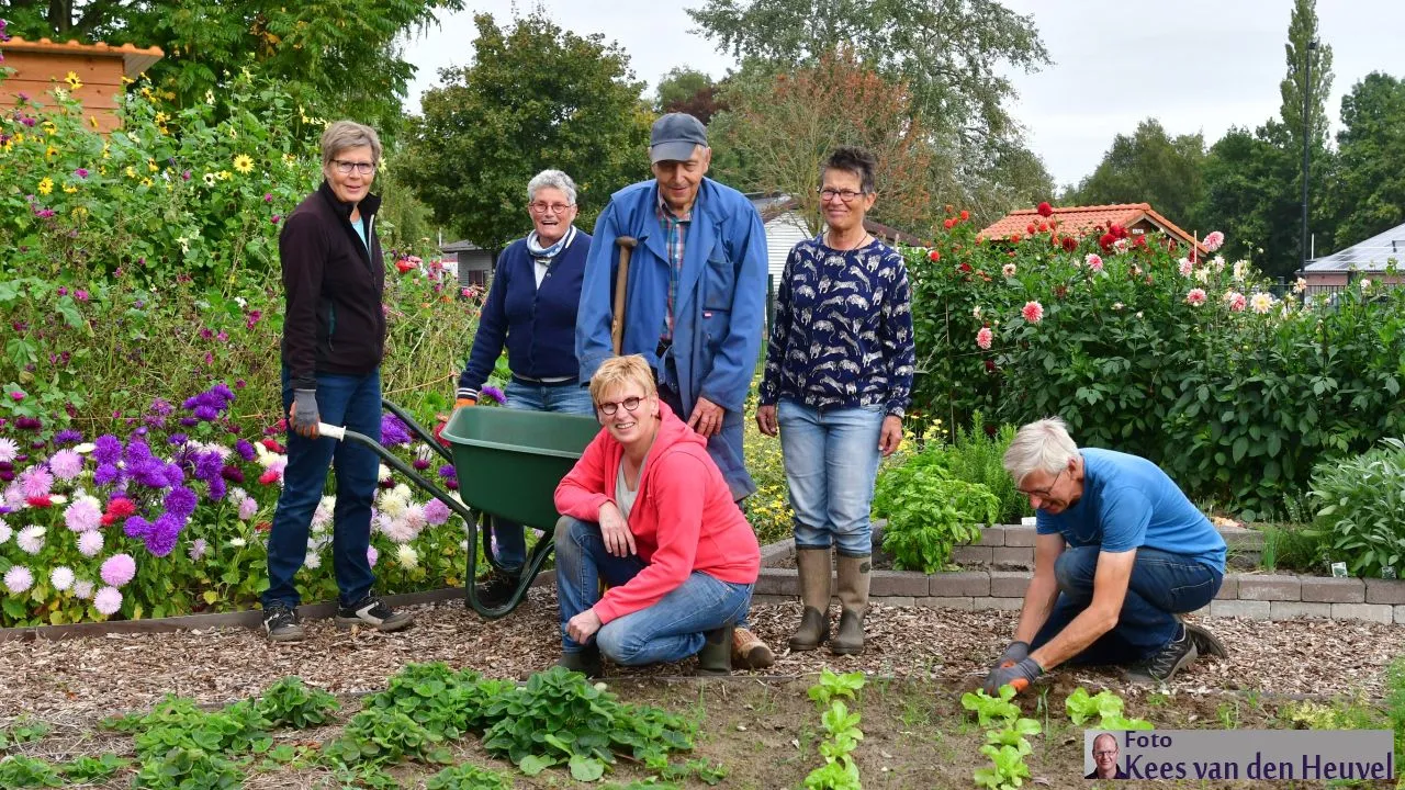 2019 9 24 moestuin uvv oogst 24 9 hoofdfoto