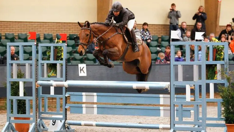 2020 02 24 hellen burgwal