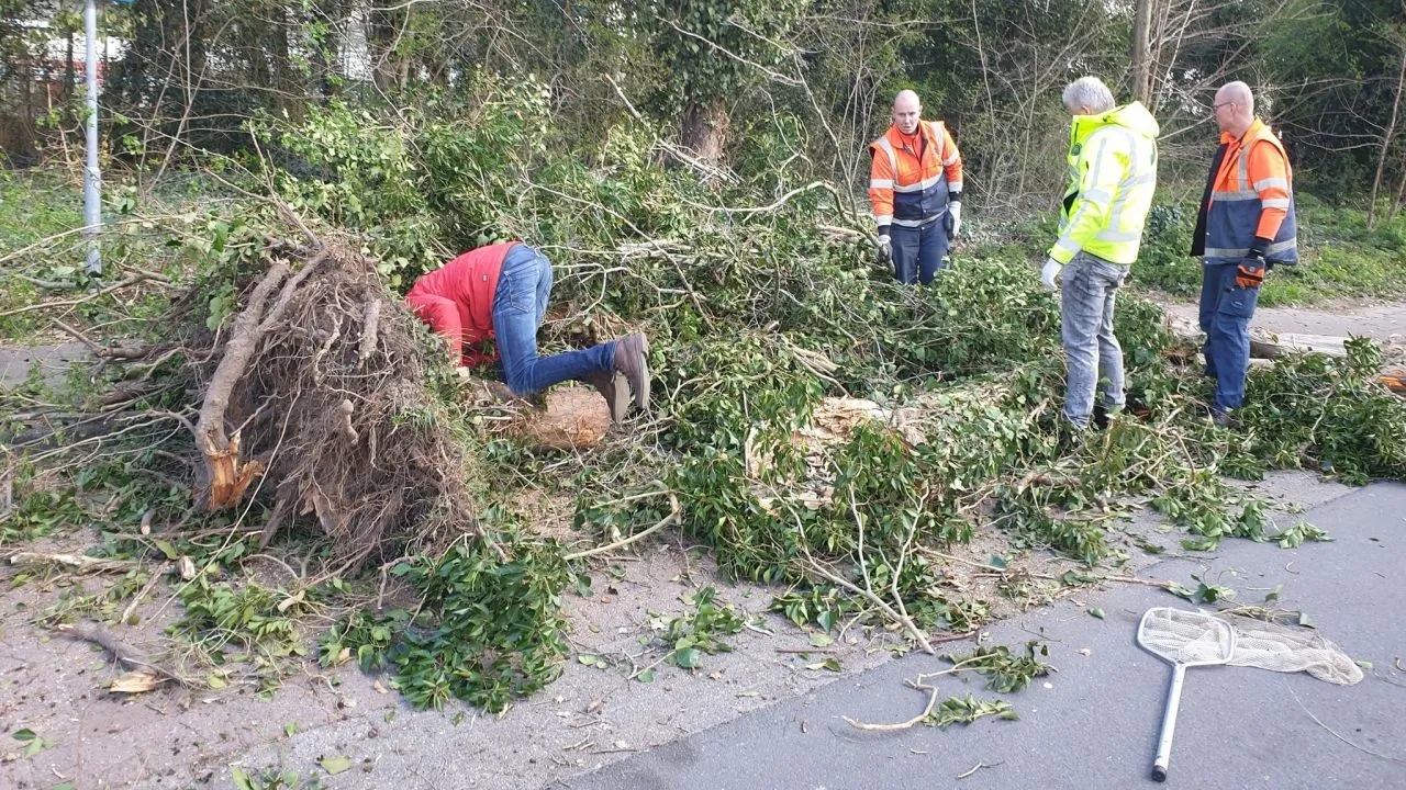 2020 04 01 direnambulance