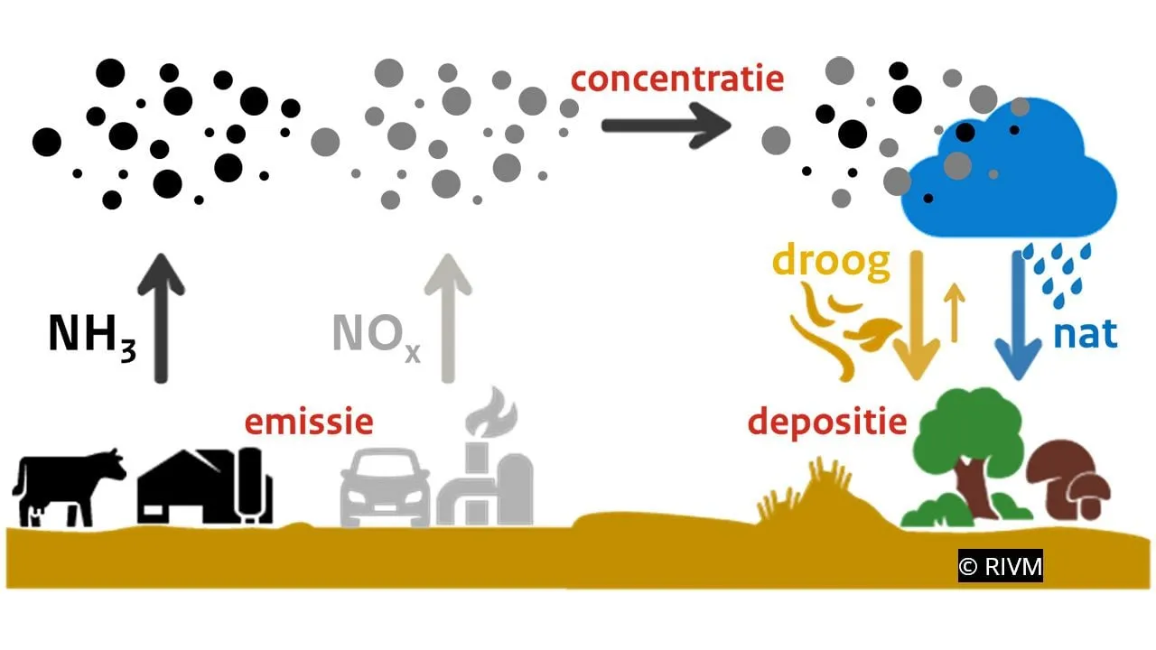 2020 06 07 stikstof 01
