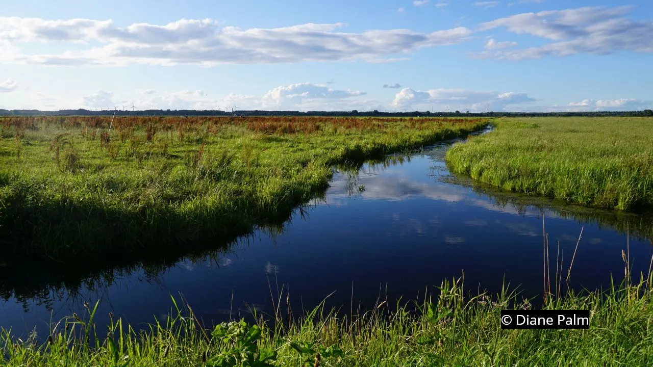 2020 07 11 polder arkemheen 10