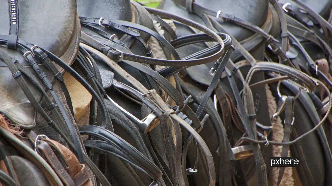 2020 08 09 zadels wheel wire horse metal ride tire 679855 pxhere