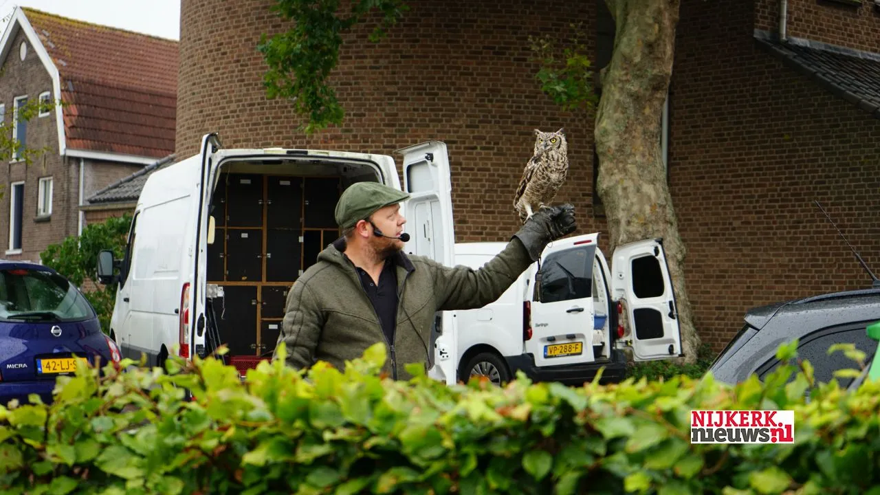 2020 10 03 settels roofvogels st jozef dsc08511