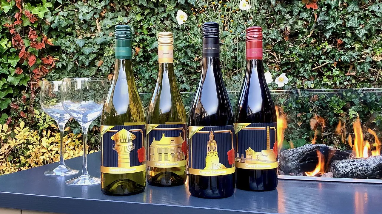 2020 11 01 lions skyline haard