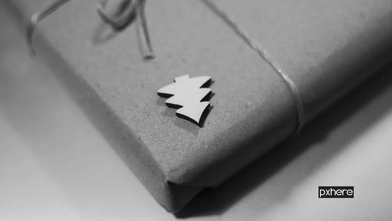 2020 11 02 kerstcadeau writing hand tree black and white white photography 1065286 pxhere1