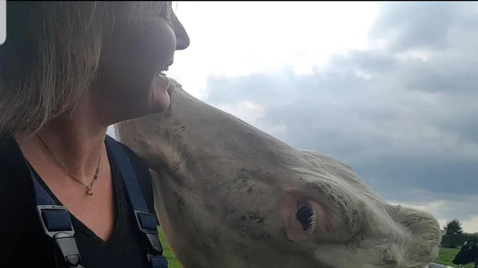 2020 11 16 liane van steeg