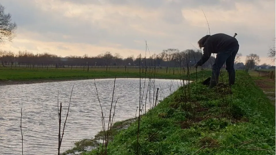 2021 01 25 aanplant ferry bouw