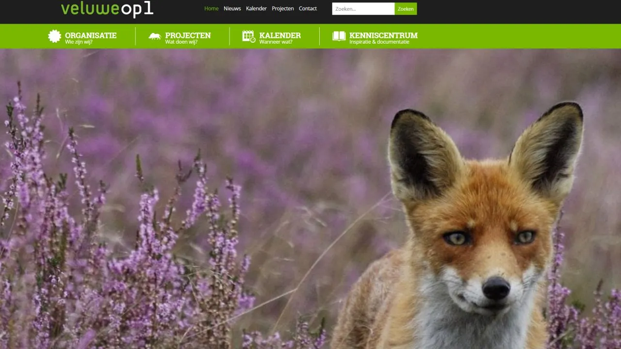 2021 02 17 veluwe op 1