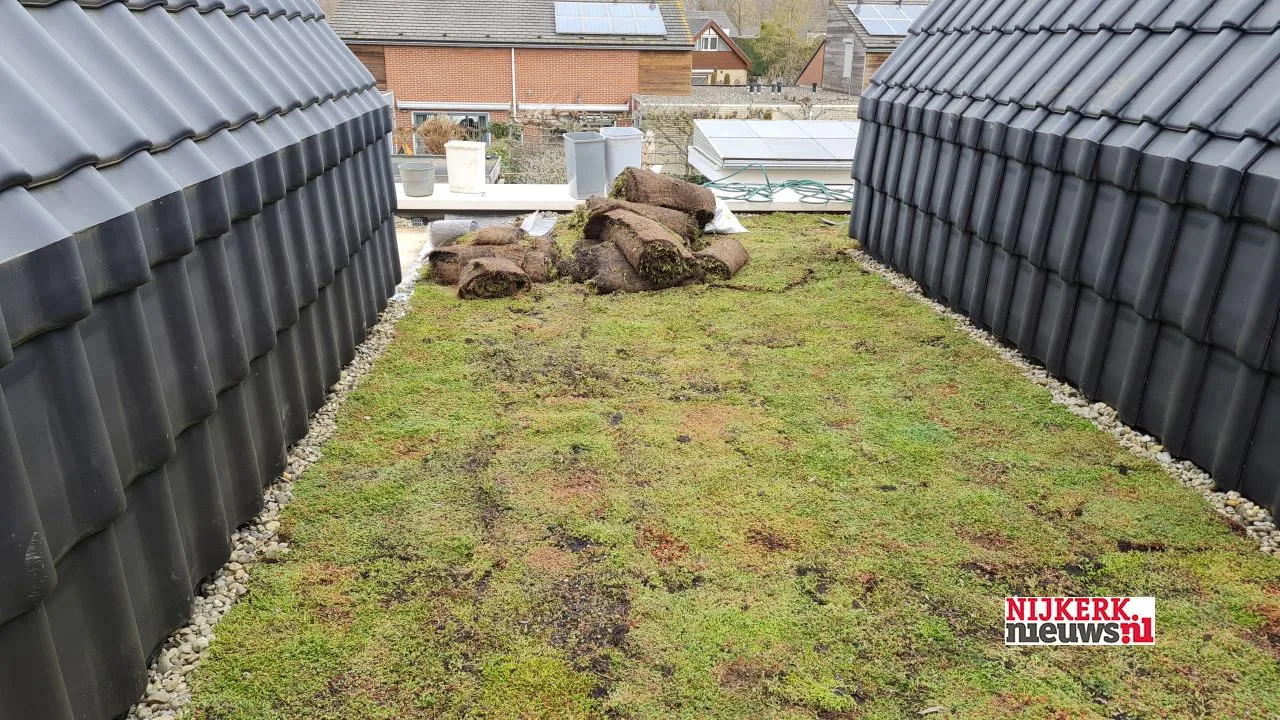 2021 02 22 groen op dak gras 03