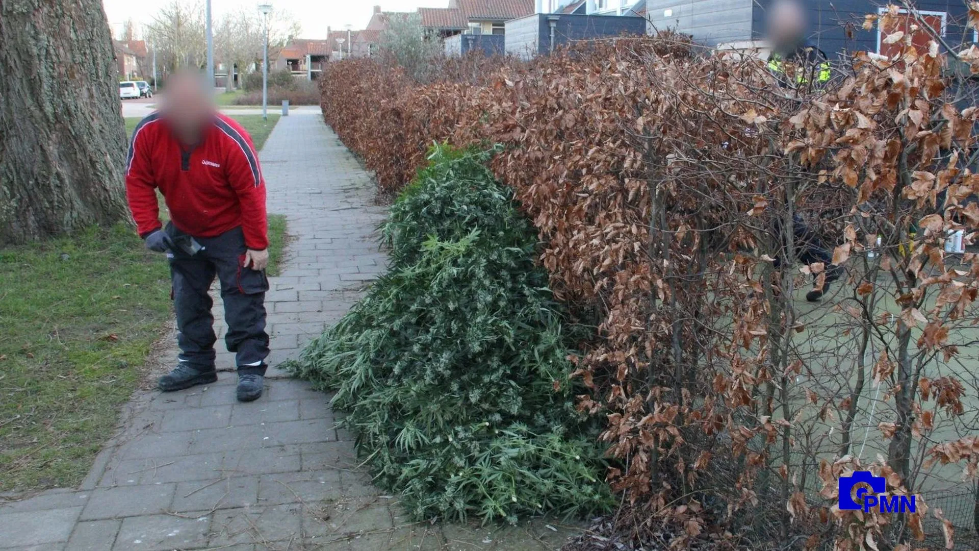 2021 03 05 wietplantage