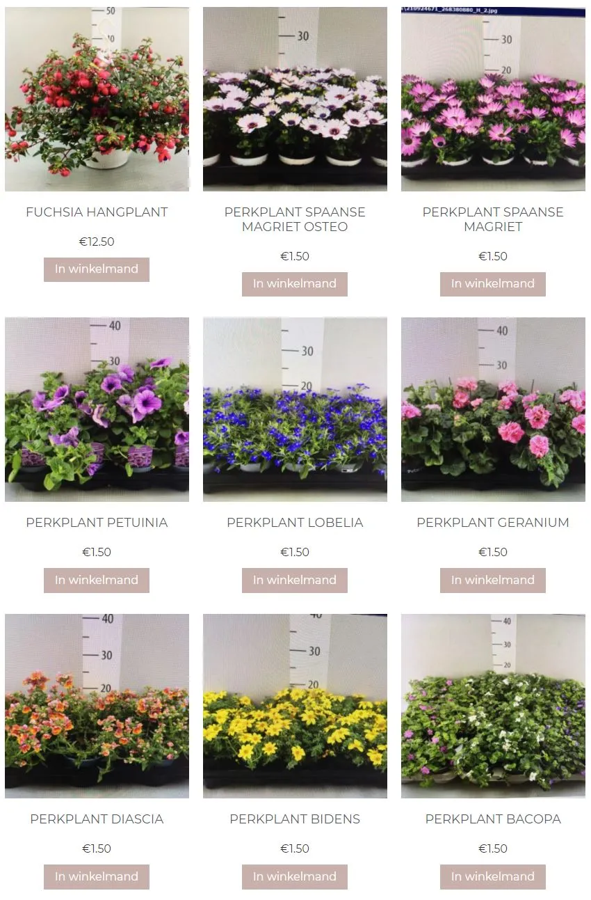 2021 05 07 irmas missie