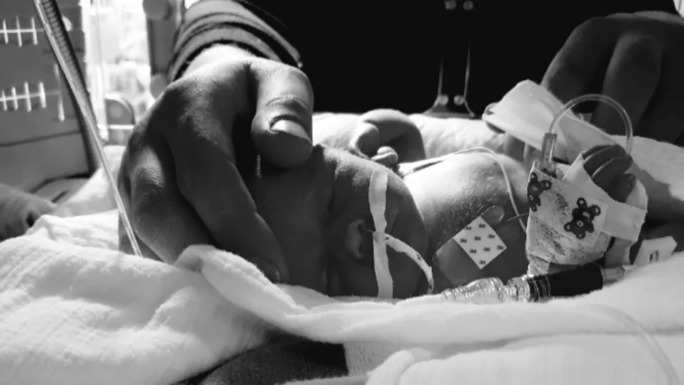 2021 08 10 header over the rainbow for maud