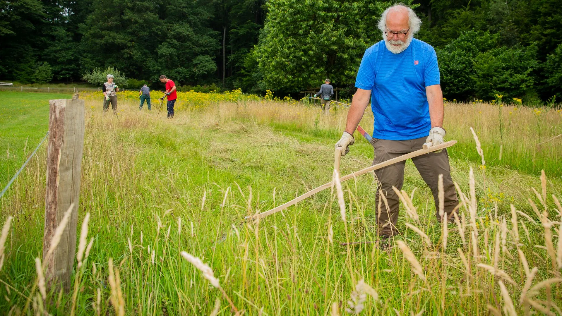 2021 08 27 maaien zeis
