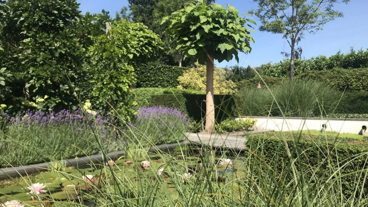 2021 11 11 satter kiewiet 7