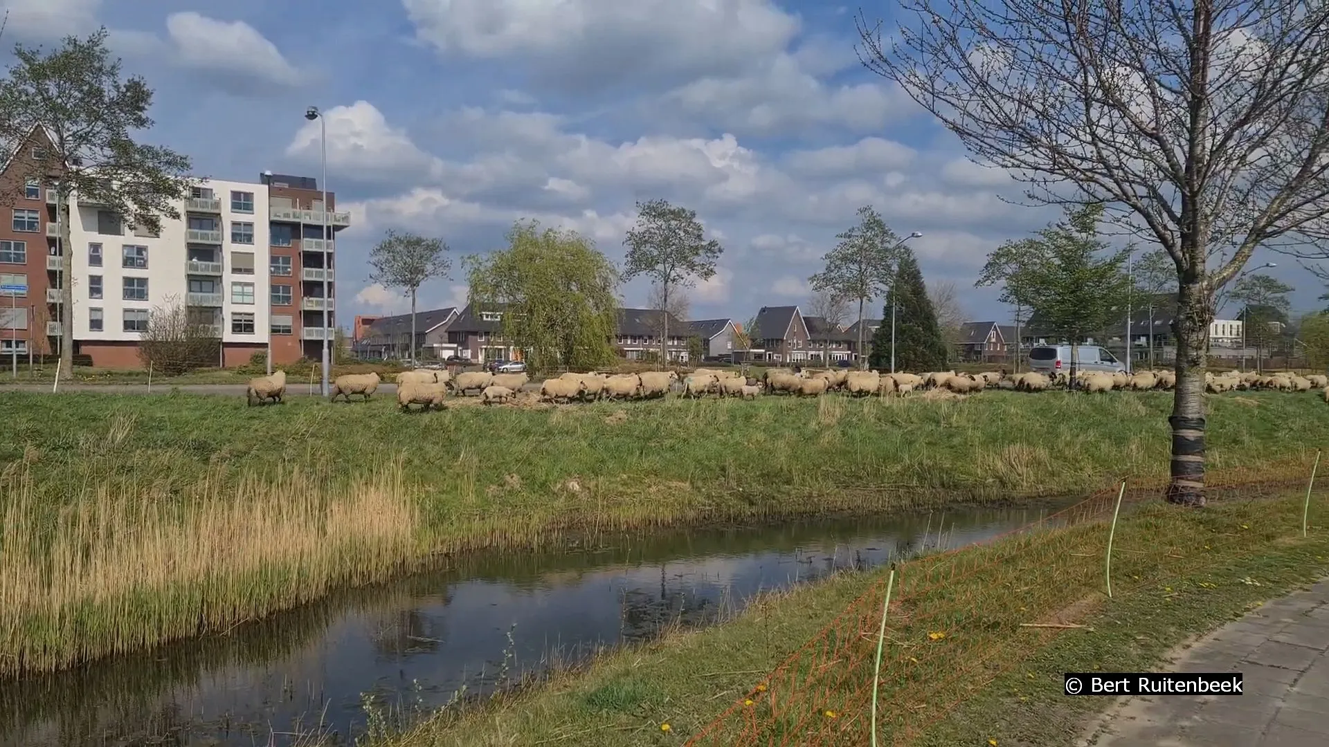 2022 04 14 sschapen1