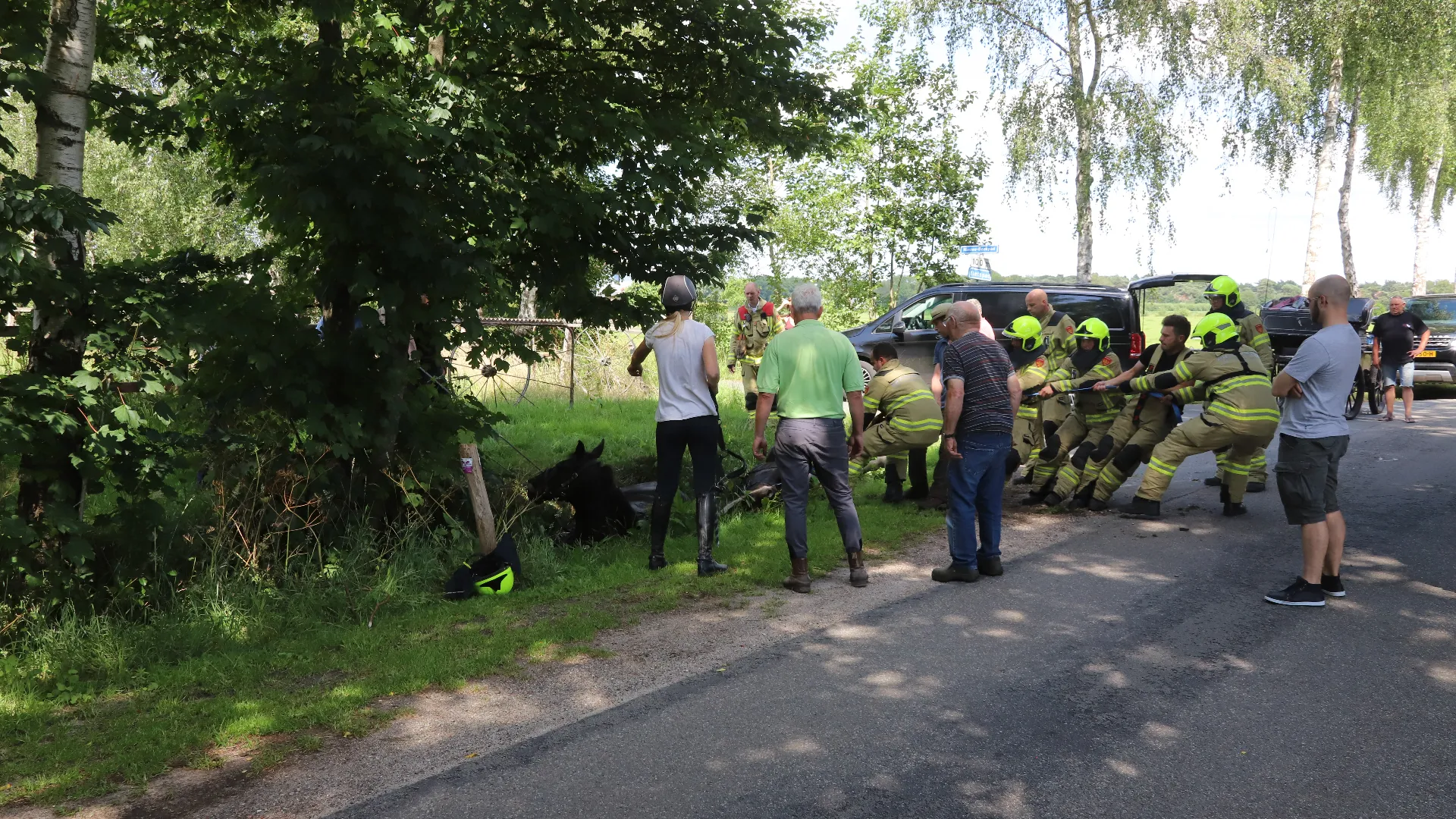 2022 06 28 paarden op hol
