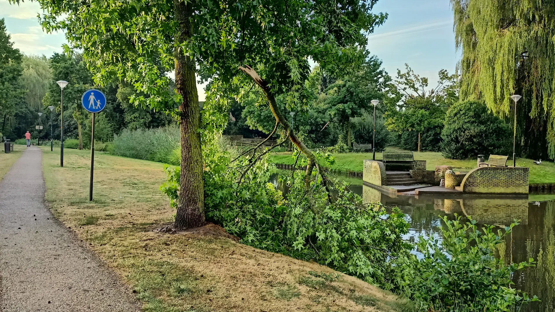 2022 08 15 boom stadspark schade 1