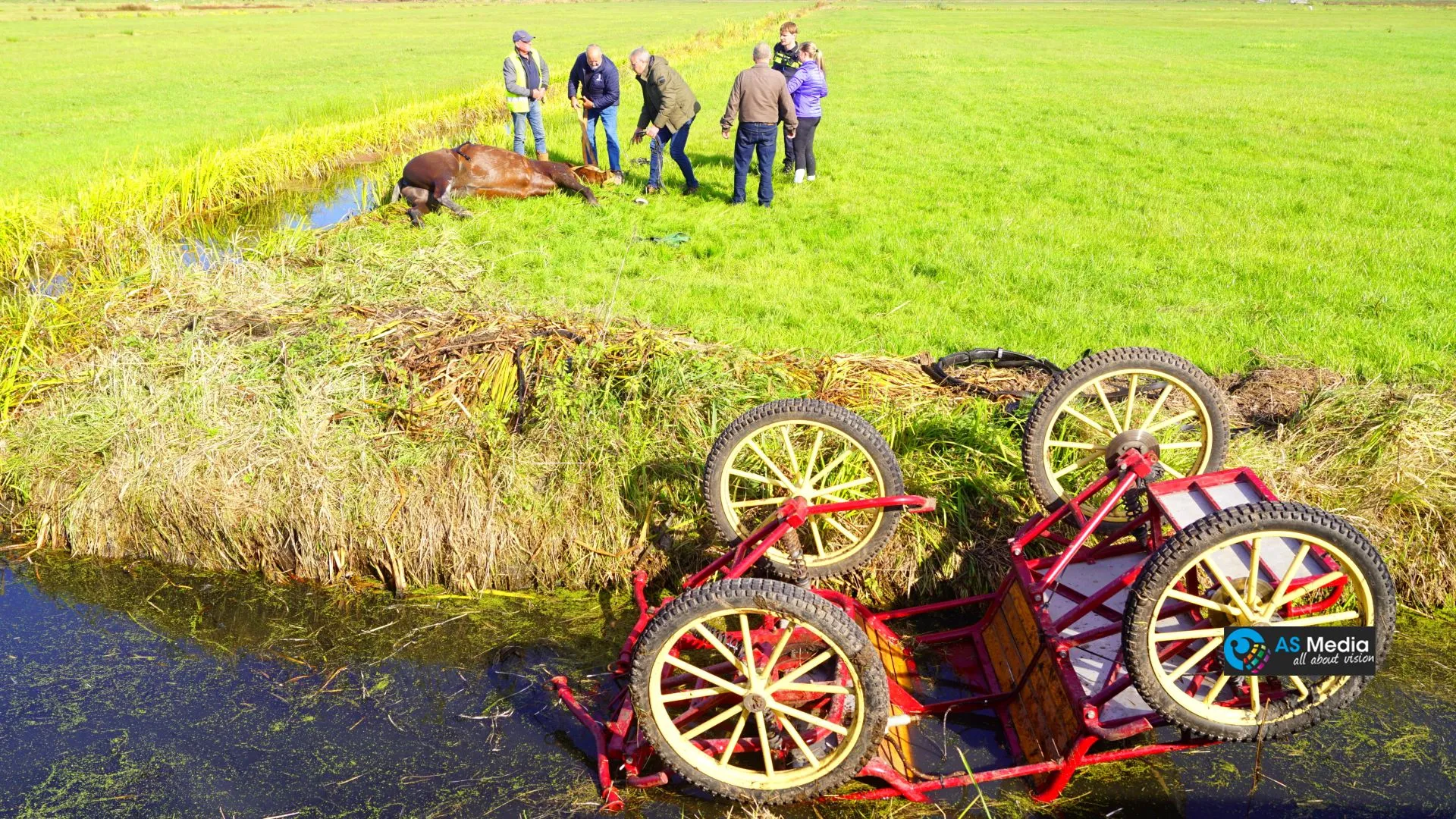 2022 10 12 paard en wagen te water 1