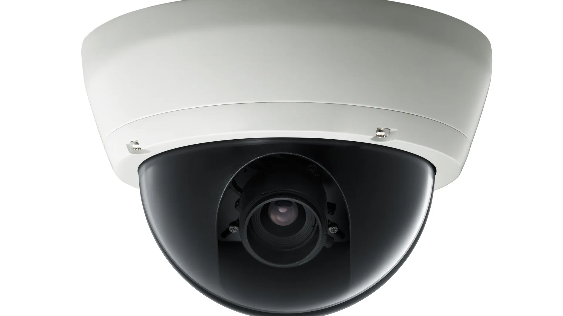 2022 10 25 lam bg masthead