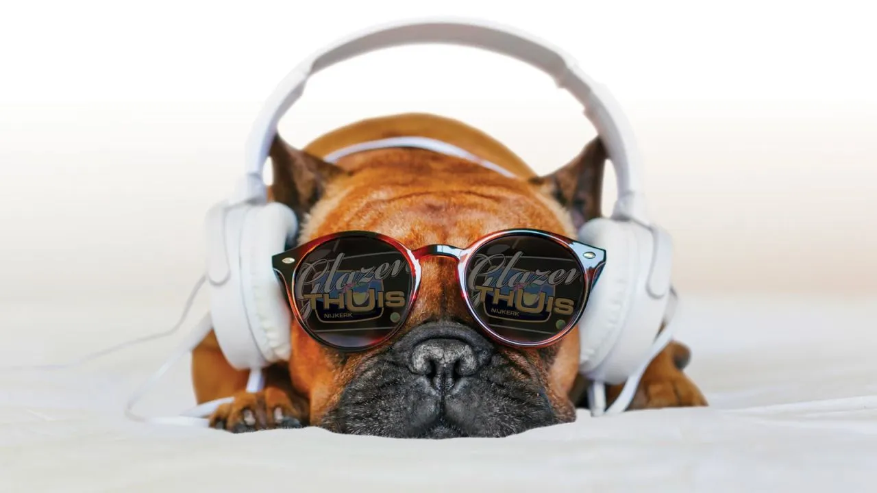 2022 11 06 hond glazen thuis