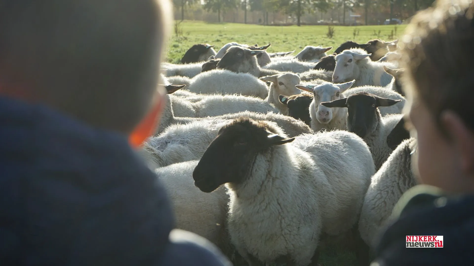 2022 11 25 rschapen uitzwaaien 03