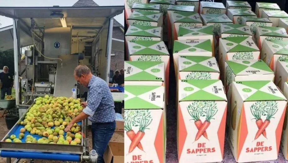 2023 10 03 sapdag 915x518 1