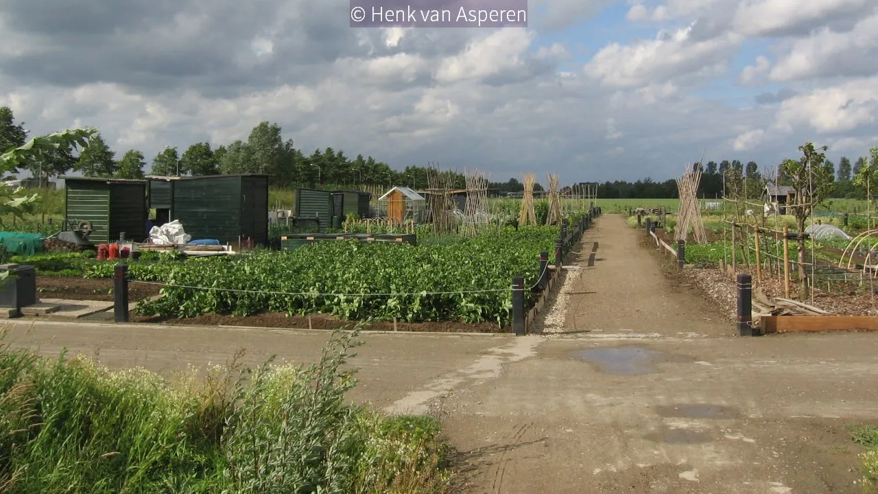 22017 06 07 volkstuinen dammersbeek