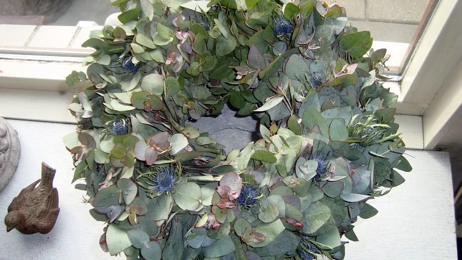 a78am2om0duizzolc8t8ujgrp 2014 12 02 groei en bloei