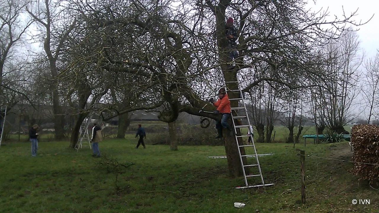 a7r5f6if3zb2pnymsnw10dq5p 2014 02 08 ivn