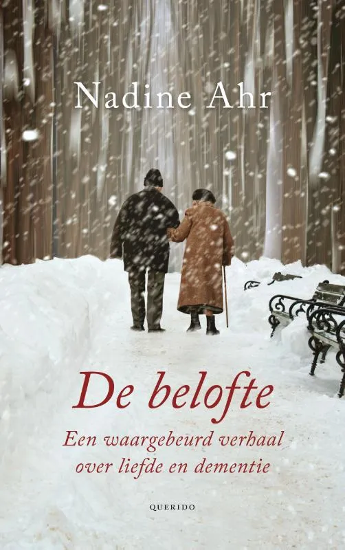 adolr2squ8wbkx0r20na0ck2h 2014 10 27 bibliotheek de belofte