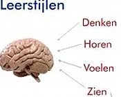 aiibggu7x5mlwb6h08tmtef07 204525