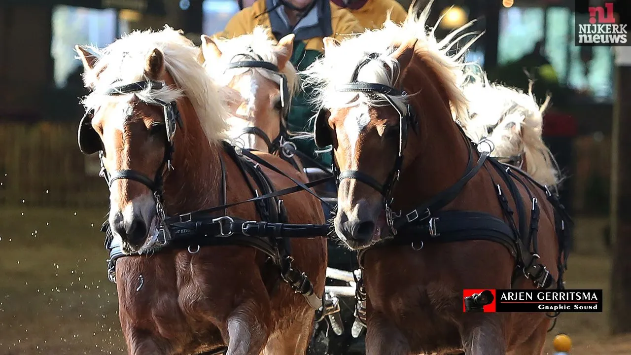 anakfkfy86oecploewsb057a9 2014 11 08 menindoor 001