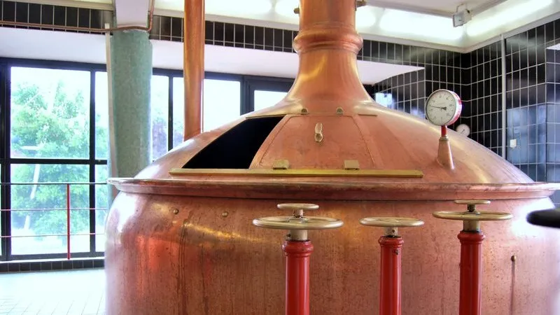 ap914arxlw9hvg865vm2ugmo6 2013 06 13palmbierketel