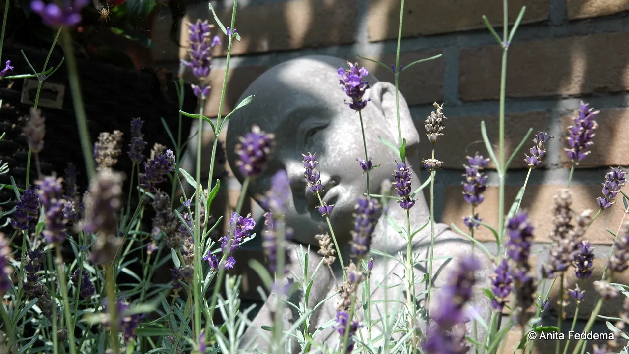 awcjlskcngq9cinpyy9yctjo7 2014 01 06 overgangspraktijk