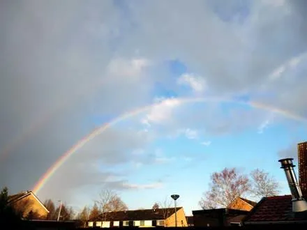 awvf2d9iqasy8nmsg47pw1wi8 104610