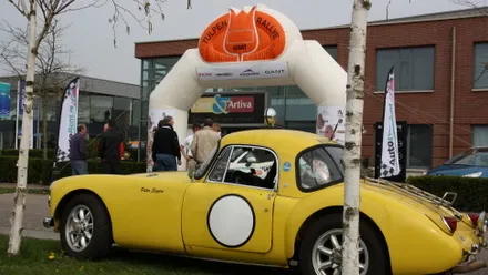 azy2jbkge5dqrln1d1lbitfuz 56449