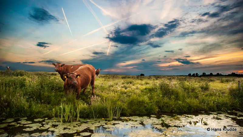 b3n1d4g0pvvbesni5zcn2nobz 2014 10 20 arkemheen