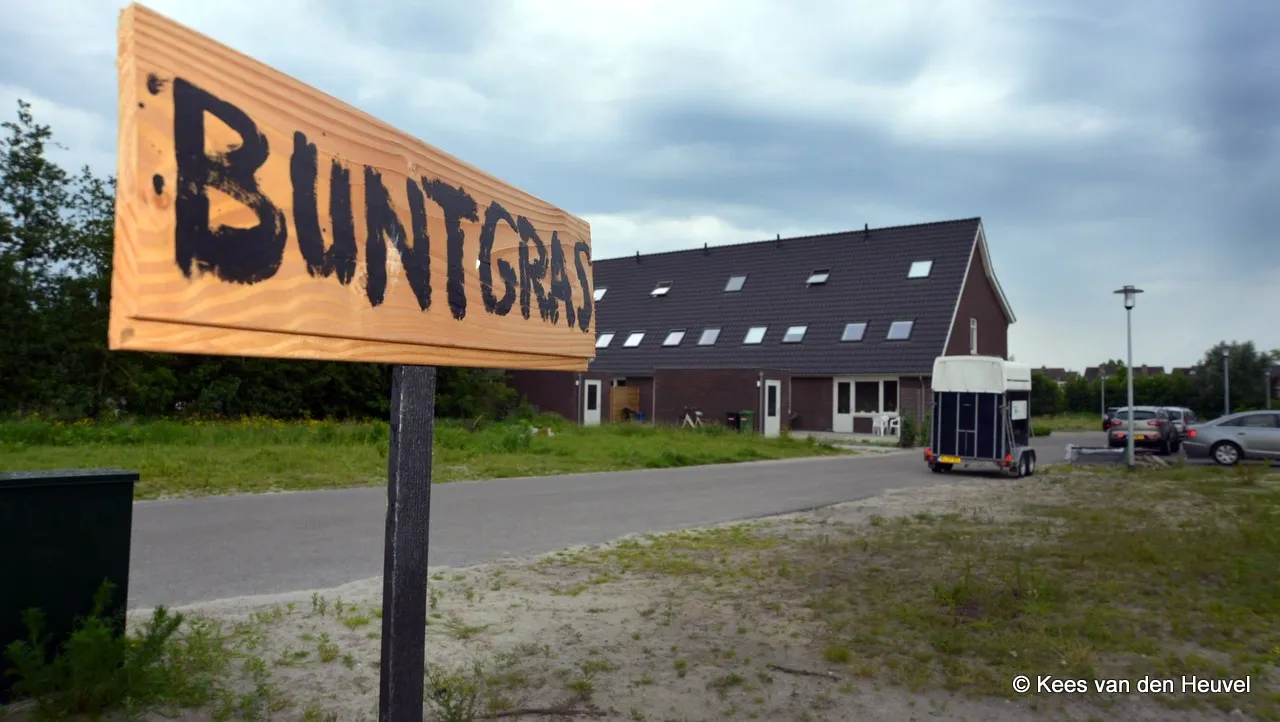 b4zgjyyyg8wbubqeugv6pr1v8 2014 05 26 buntgras