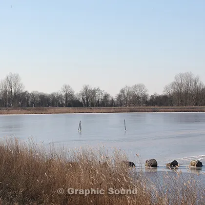 bcdie1zukdleak1ccxs6jtri4 115683