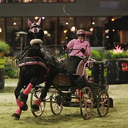 bf2m5rj5tpth25jgleoh0jf1k 186338