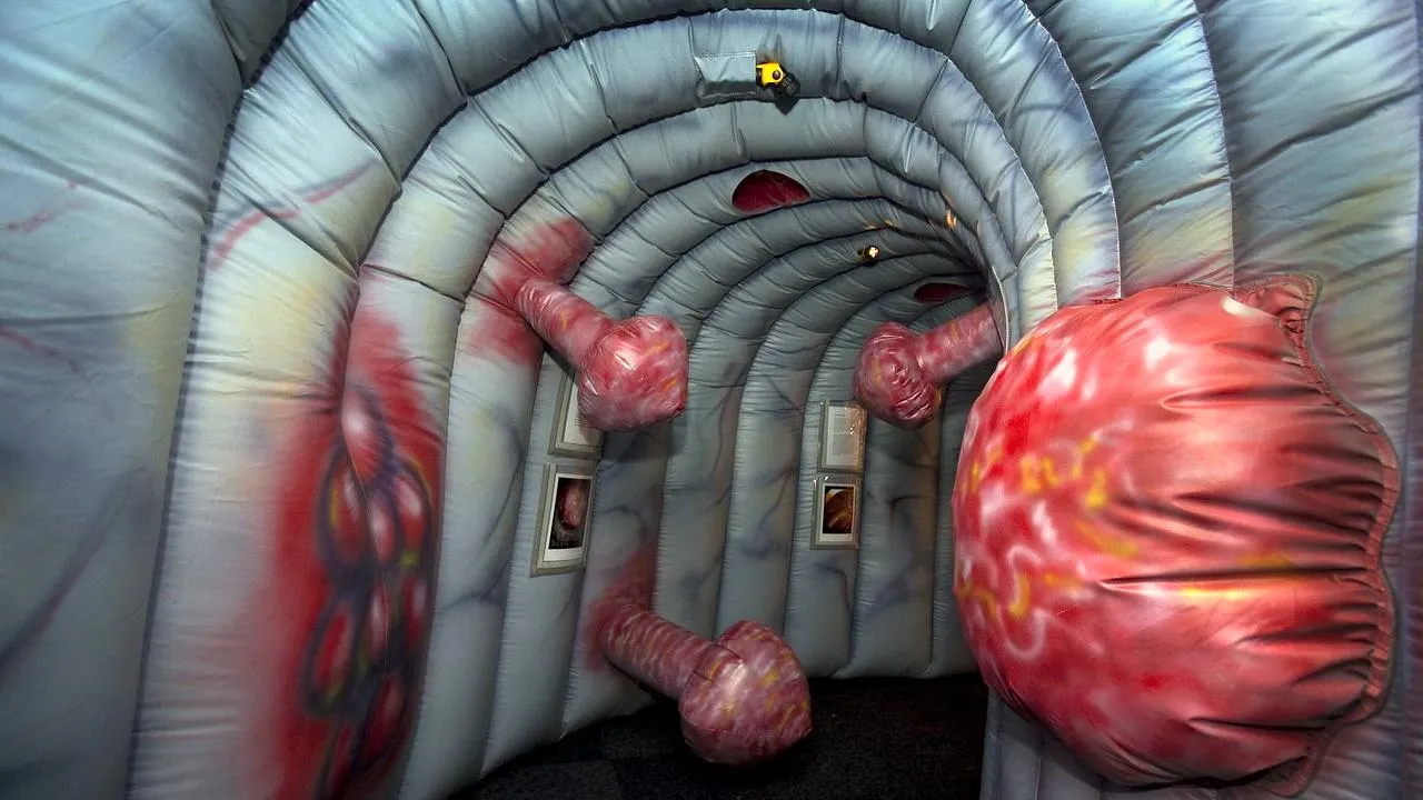 bh0i37ge3ndj7m1vwtxqk9ccv 2014 02 27 opblaasbare darm