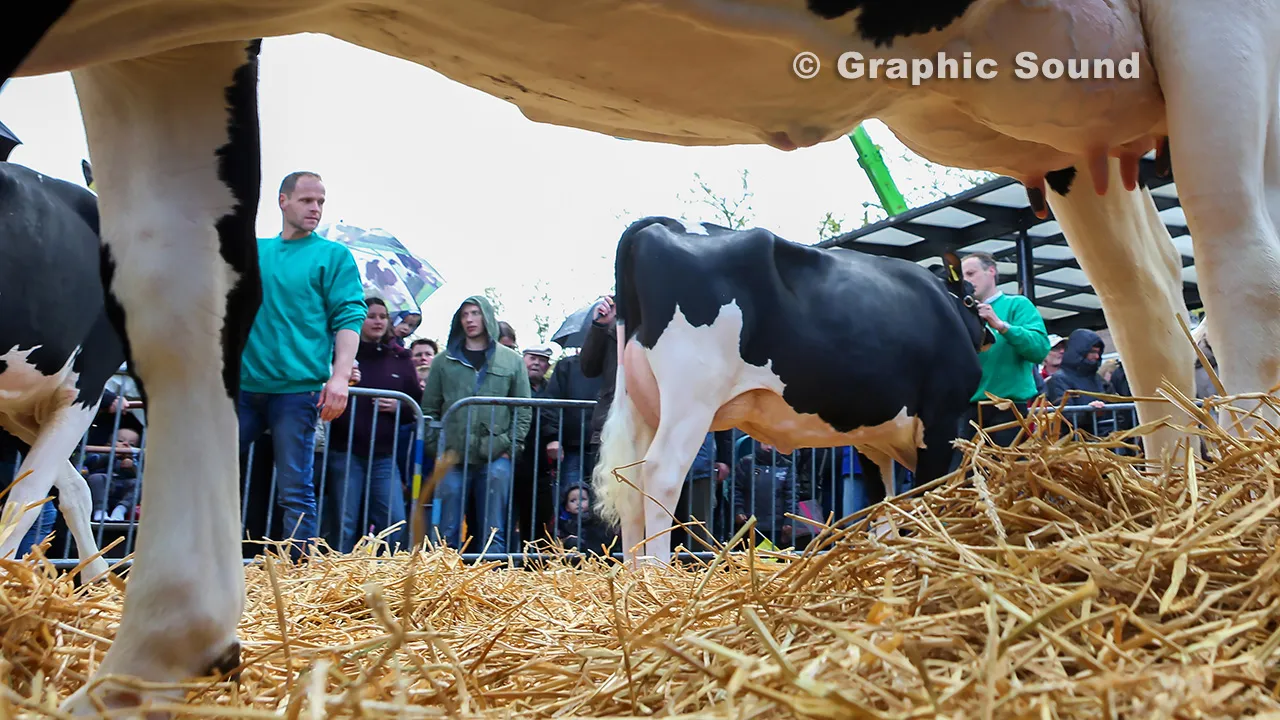 bneb7esq7o1y3heykuufwzojt 2014 04 14 boerenmaandag 014