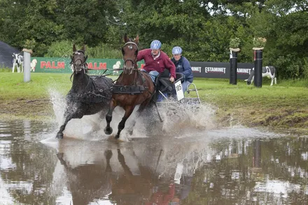 bri8mjfbt1vy1hu29mj4npgbd 155397